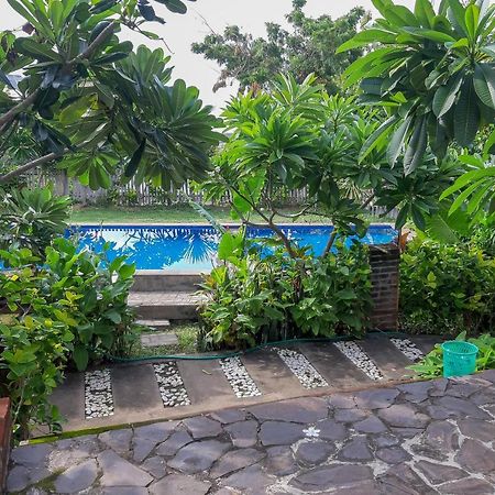 Oyo 3070 Villa Lovina Eco Lodge Екстер'єр фото
