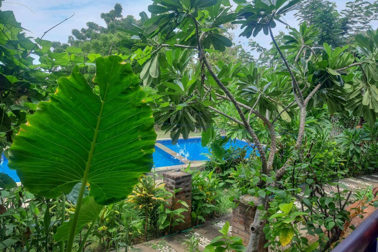 Oyo 3070 Villa Lovina Eco Lodge Екстер'єр фото